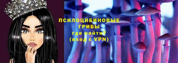 соль ск Елабуга