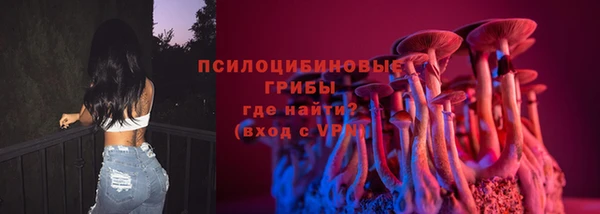 соль курить ск Ельня