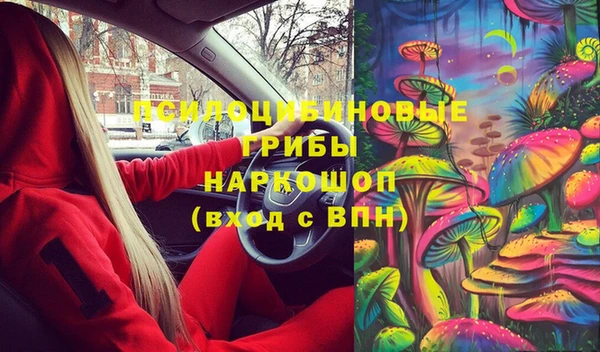 2c-b Елизово
